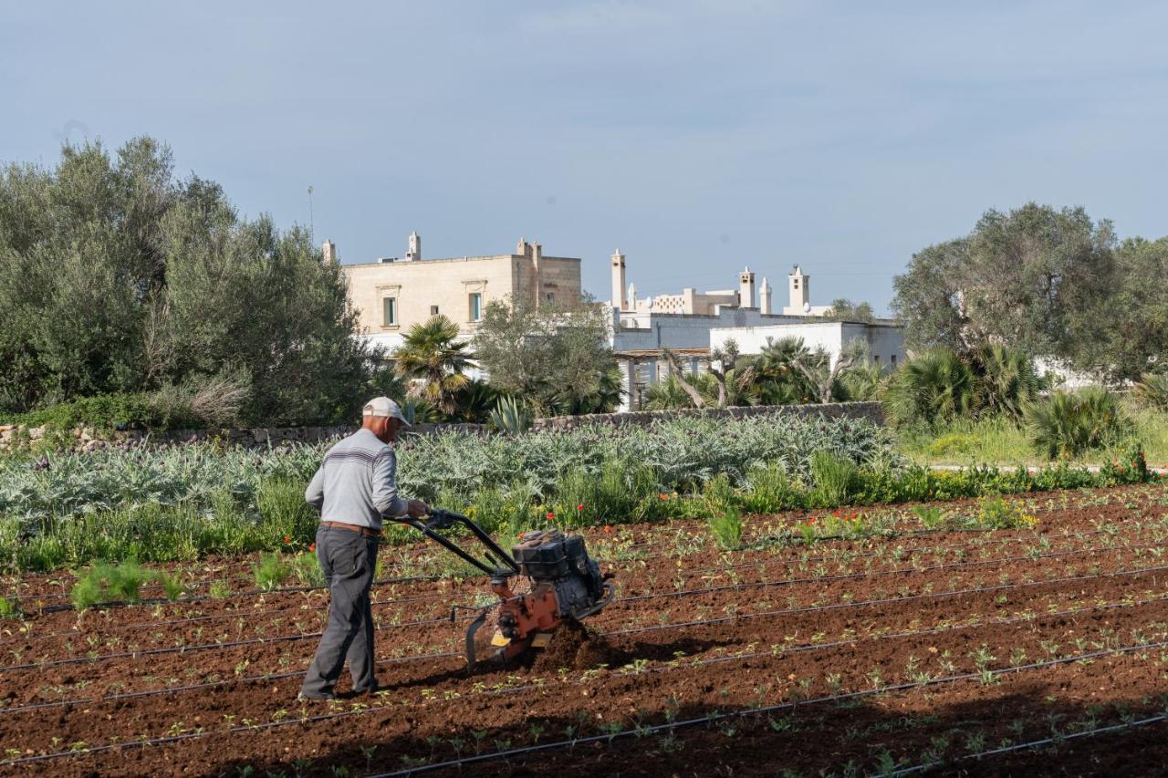 Masseria Palombara Relais & Spa - Adults Only 曼杜里亚 外观 照片